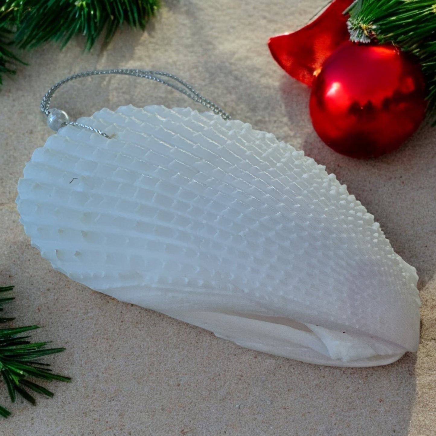 Noel Seashell Ornament