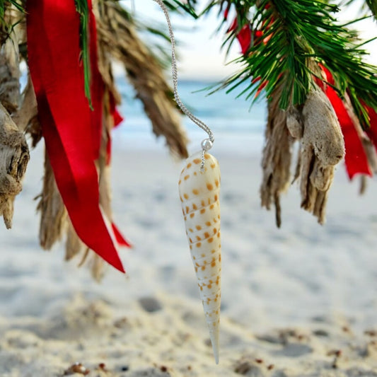 Gloria Seashell Ornament