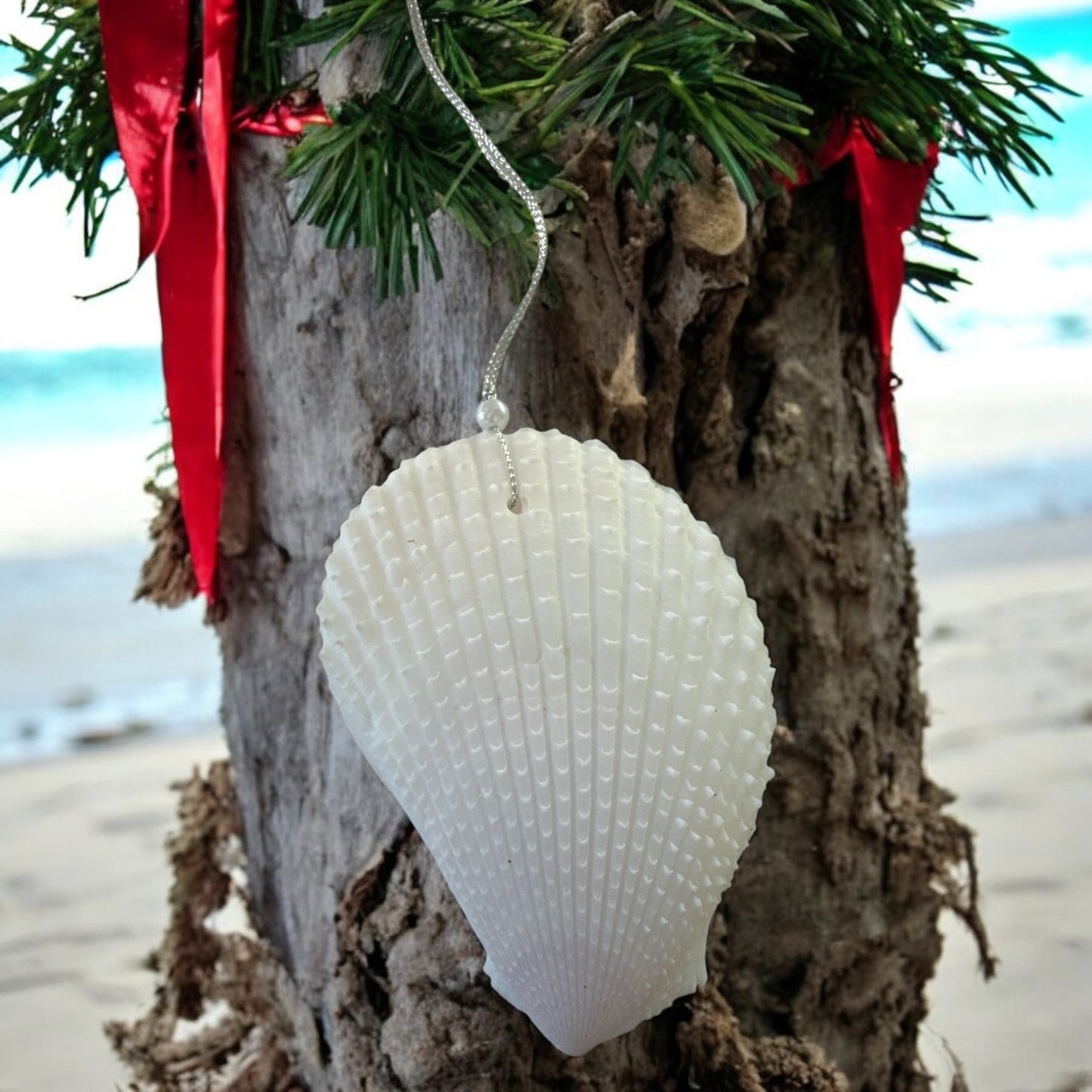 Noel Seashell Ornament