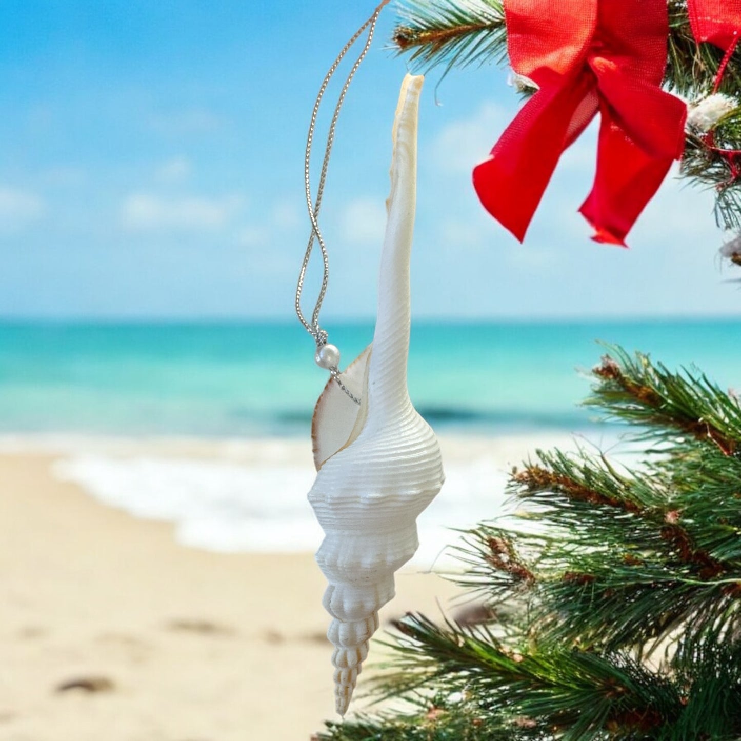 Fa-La-La-La-La Seashell Ornament