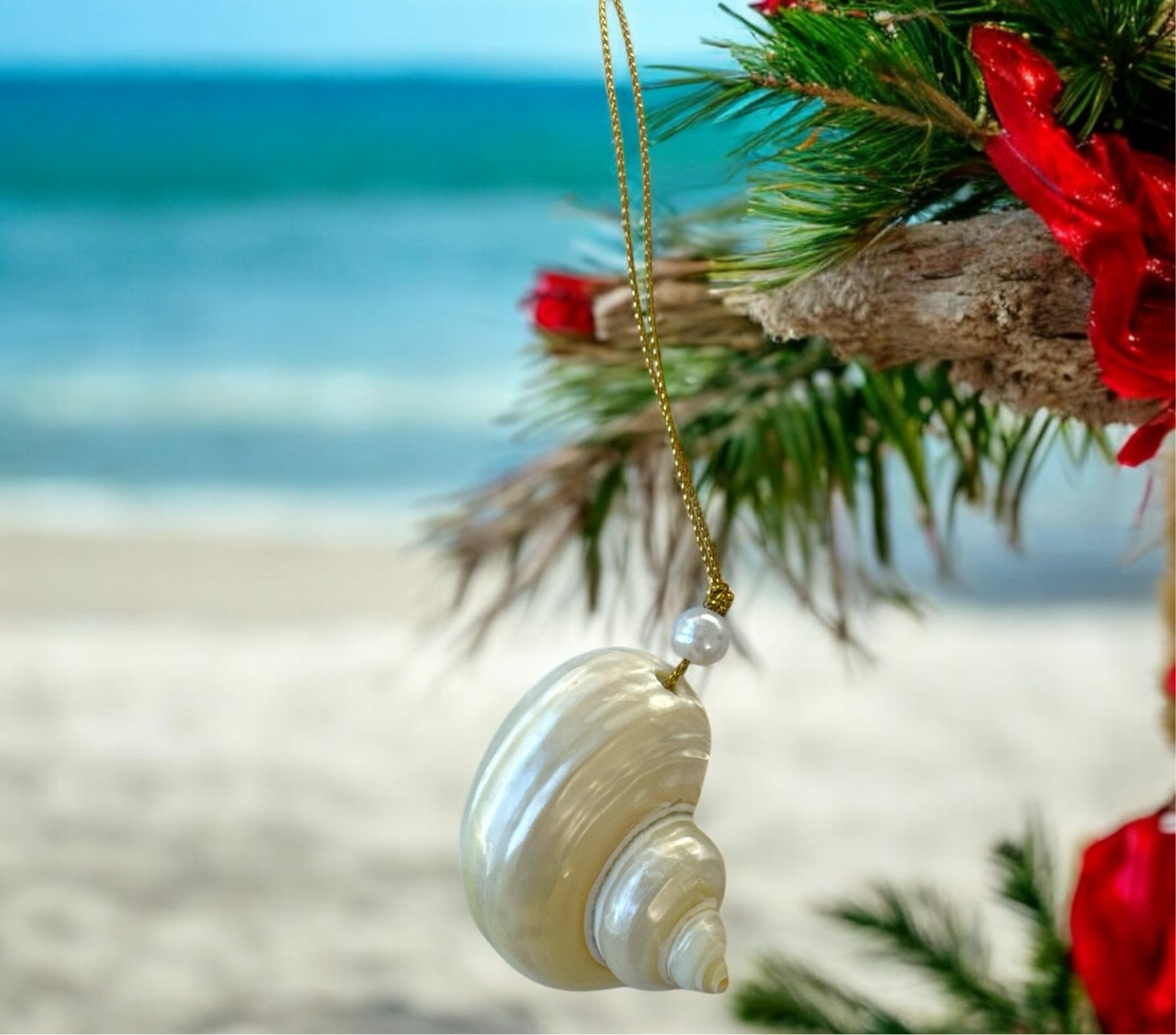 Serene Seashell Ornament