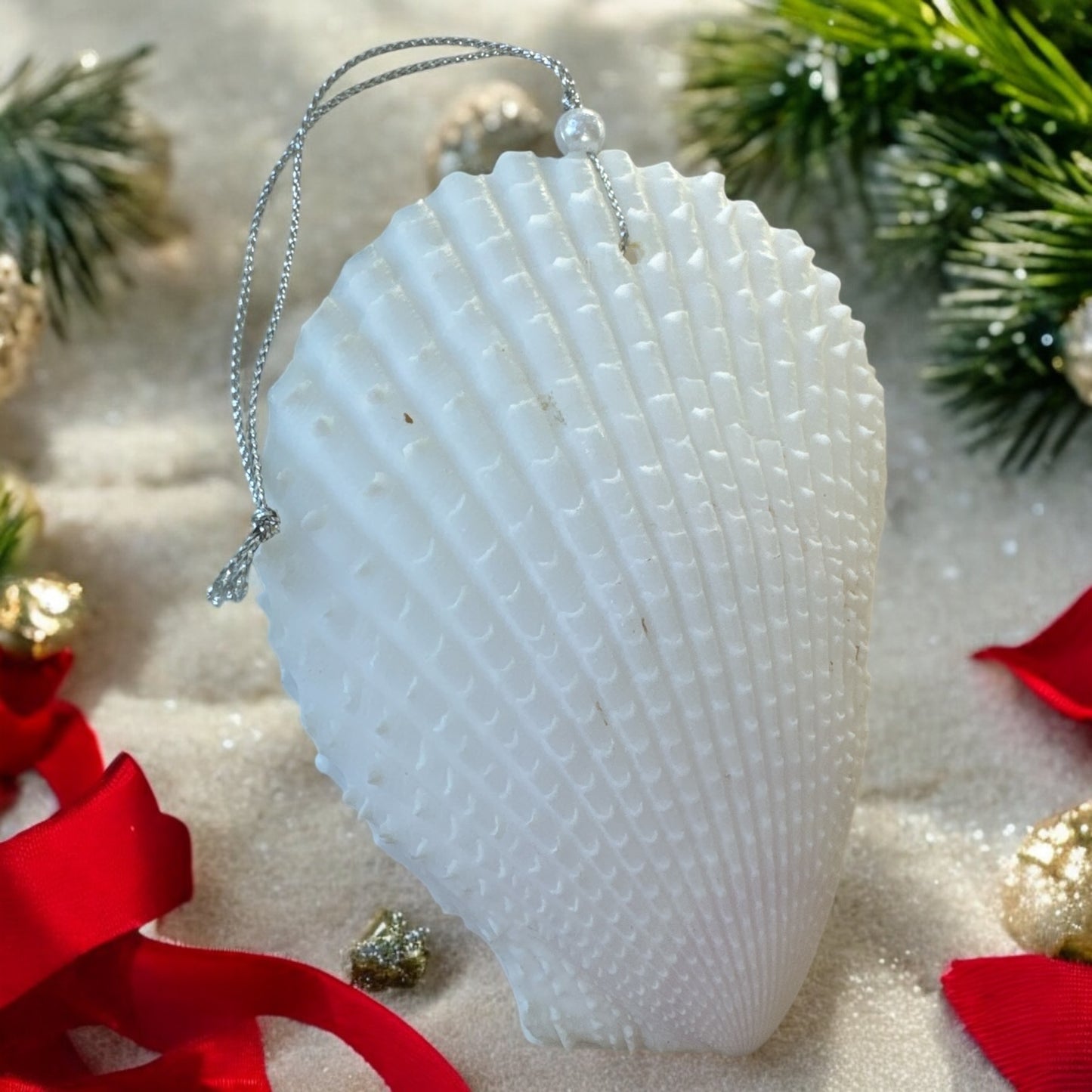 Noel Seashell Ornament