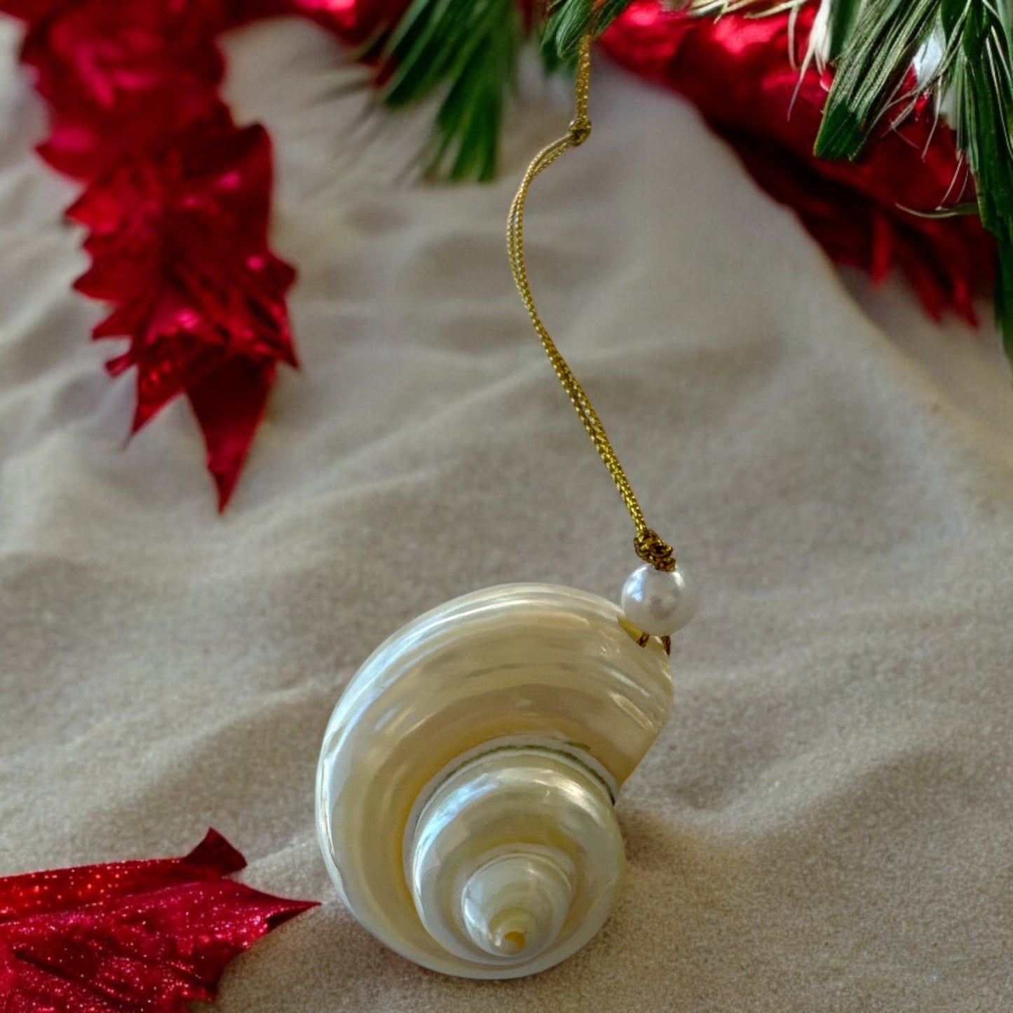 Serene Seashell Ornament